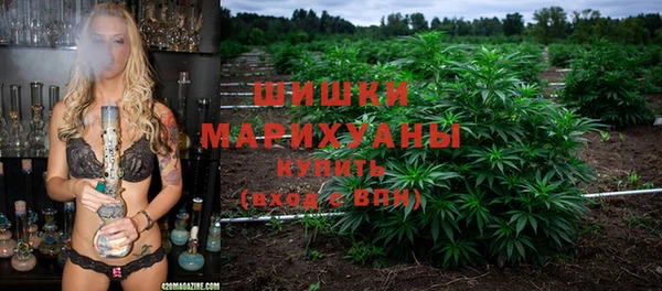 гидра Абаза