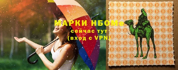 гидра Абаза