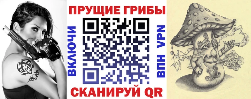 Псилоцибиновые грибы ЛСД  наркошоп  Навашино 